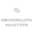 启博分销小程序移动端界面示例