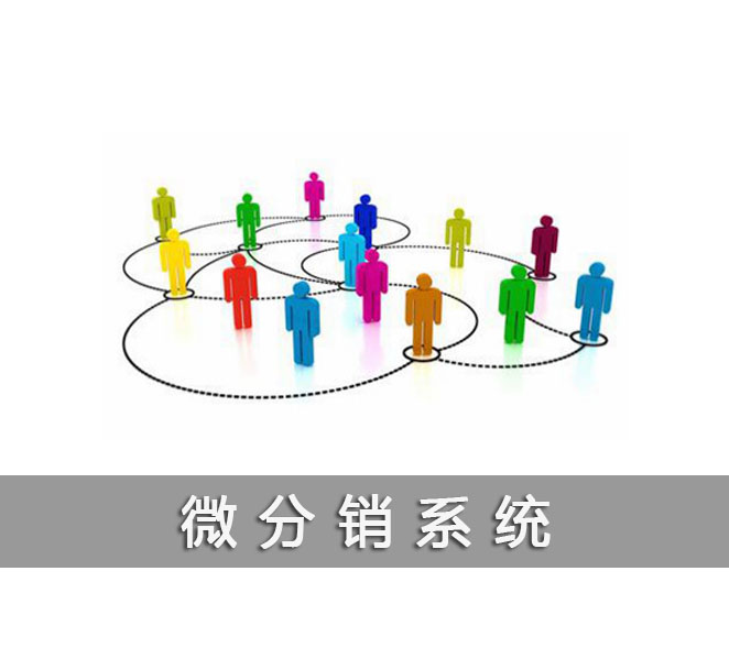 微分销系统开发