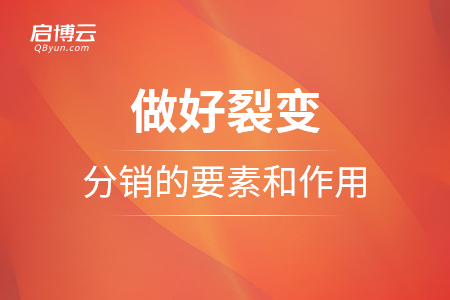 做好裂变，分销的要素和作用