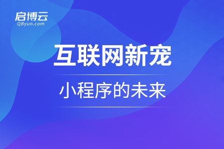 互联网新宠小程序的未来
