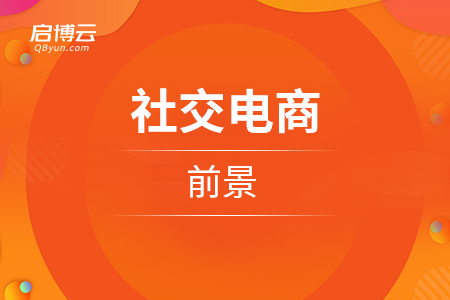 社交电商的前景
